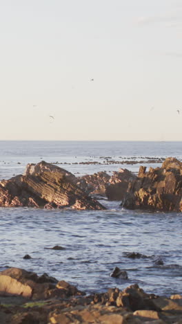 Seagulls-fly-over-a-serene-coastal-landscape-at-sunset