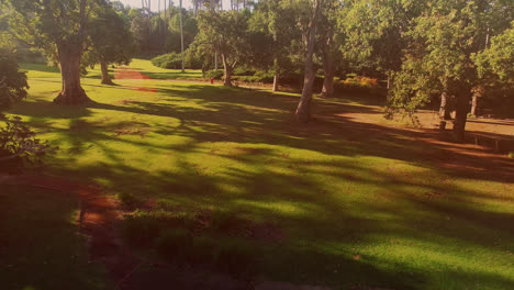 Video-De-Parque-Con-árboles-Y-Lago-En-Un-Día-Soleado