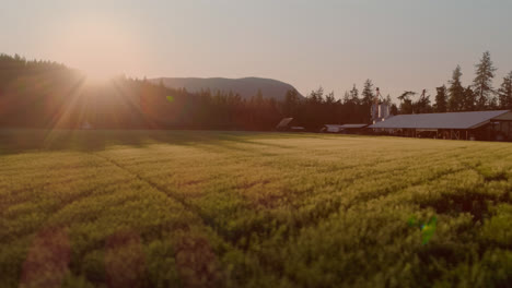 Video-Von-Einem-Bauernhaus,-Einem-Feld-Mit-Bäumen-Und-Einem-See-An-Einem-Sonnigen-Tag