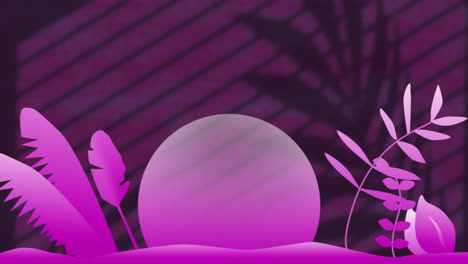 Animation-Von-Pflanzen-Und-Sonne-über-Blättern-Und-Fensterschatten-Auf-Violettem-Hintergrund