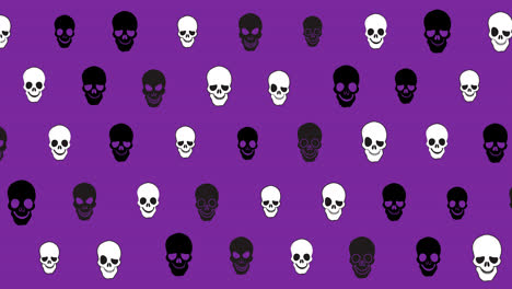 Animación-De-Calaveras-Blancas-Y-Negras-Sobre-Fondo-Morado-Flotante