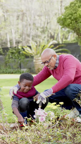 Glücklicher-Afroamerikanischer-Großvater-Und-Enkel,-Der-Sich-Im-Sonnigen-Garten-Um-Pflanzen-Kümmert,-Zeitlupe