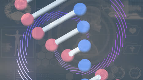 Animation-Von-DNA-Strang-Und-Spirale-über-Wissenschaftlicher-Datenverarbeitung