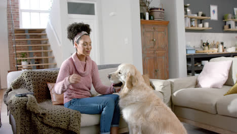 Happy-biracial-woman-petting-golden-retriever-dog-at-home,-slow-motion