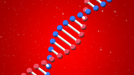 Animation-of-snow-falling-over-dna-strand-on-red-background