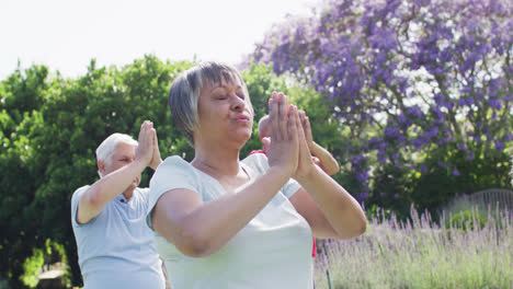 Grupo-Diverso-Y-Relajado-De-Personas-Mayores-Practicando-Meditación-De-Yoga-En-El-Jardín,-Cámara-Lenta