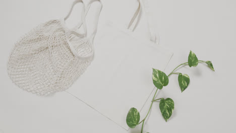 Close-up-of-white-bags-and-green-plant-on-white-background,-with-copy-space,-slow-motion