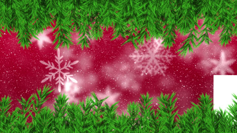 Animation-of-fir-tree-frame-over-snow-falling