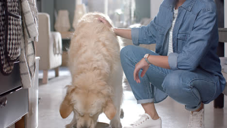 Happy-biracial-woman-serving-golden-retriever-dog-food-at-home,-slow-motion