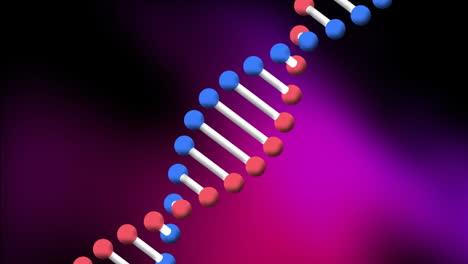 Animación-De-La-Estructura-Del-ADN-Girando-Sobre-Un-Fondo-Degradado-Púrpura