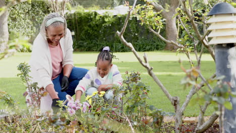 Feliz-Abuela-Y-Nieta-Afroamericana-Atendiendo-Plantas-En-Un-Jardín-Soleado,-Cámara-Lenta