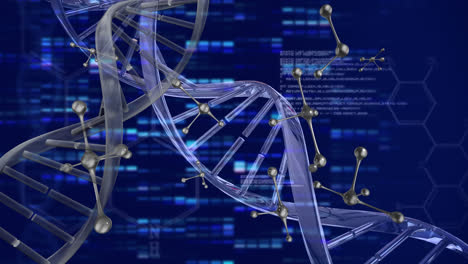 Animation-Von-DNA-Strängen,-Die-Sich-über-Die-Datenverarbeitung-Drehen