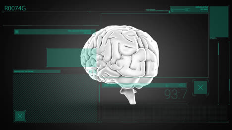 Animation-of-human-brain-and-data-processing