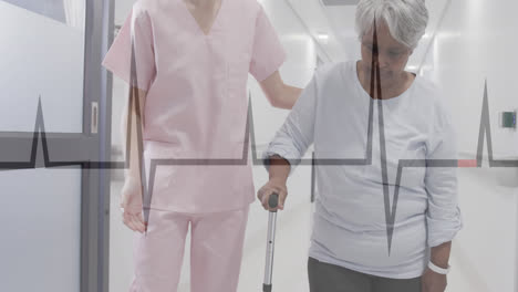 Animation-of-cardiograph-over-diverse-senior-female-patient-and-nurse-walking-with-cane