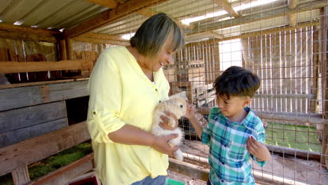 Happy-biracial-grandmother-and-grandson-holding-and-petting-rabbits,-slow-motion