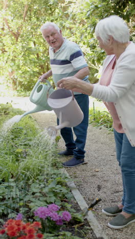 Vertital-video-of-senior-caucasian-couple-watering-plants-in-sunny-garden,-slow-motion