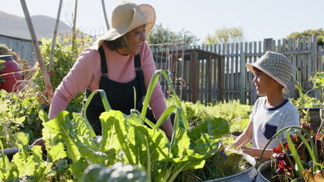 Happy-senior-biracial-grandmother-and-grandson-looking-at-plants-in-sunny-garden,-slow-motion