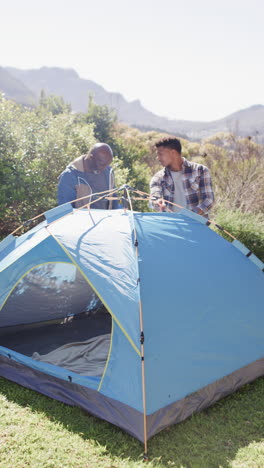 Video-Vertical-De-Padre-E-Hijo-Afroamericanos-Montando-Carpa-En-Un-Campo-Soleado,-Cámara-Lenta