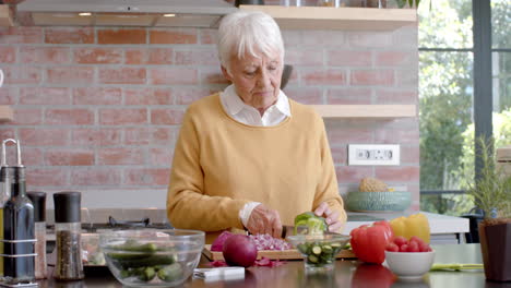 Portrait-of-happy-senior-caucasian-woman-cooking-dinner-in-kitchen-at-home,-slow-motion