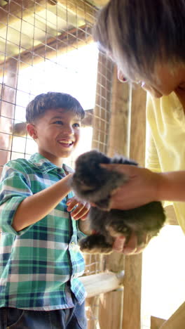 Vertical-video-of-biracial-grandmother-and-grandson-holding-and-petting-rabbits,-slow-motion