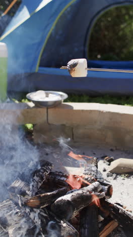 Vertikales-Video-Vom-Rösten-Von-Marshmallows-über-Einem-Lagerfeuer-Mit-Einem-Zelt-Im-Hintergrund,-Zeitlupe