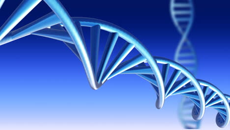 Animation-of-dna-strands-spinning-over-blue-background