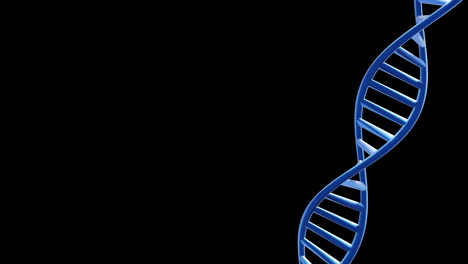 Animation-of-dna-strand-spinning-with-copy-space-over-black-background