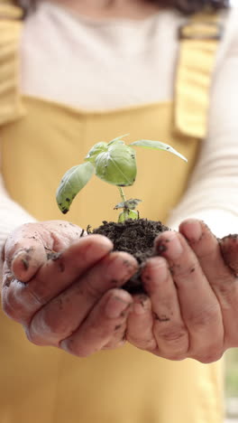 Video-Vertical-De-Una-Mujer-Birracial-Sosteniendo-Una-Planta-Con-Tierra-En-El-Jardín,-Cámara-Lenta