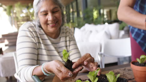 Feliz-Y-Diversa-Pareja-De-Ancianos-Sentada-A-La-Mesa-Y-Plantando-Plantas-En-Macetas-En-El-Porche