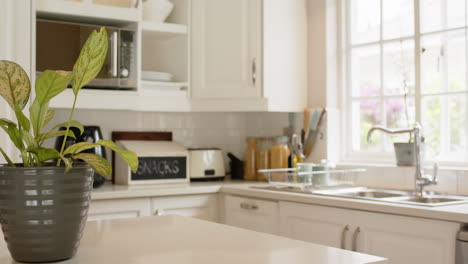 Kitchen-island,-house-plant,-sink,-furnitures-and-big-window-in-sunny-kitchen,-slow-motion