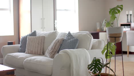 Living-room-interior-with-houseplant,-couch-with-cushions-and-wardrobe,-copy-space,-slow-motion