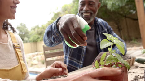 Feliz-Pareja-Madura-Diversa-Plantando-Y-Regando-Plantas-En-La-Mesa-En-El-Jardín,-Cámara-Lenta