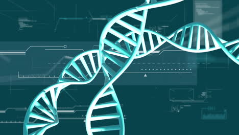 Animation-of-dna-strands-spinning-with-data-processing-over-green-background