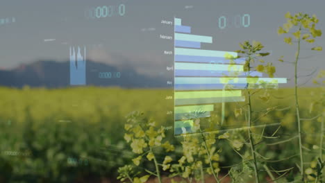 Animación-Del-Procesamiento-De-Datos-Financieros-Sobre-El-Campo.