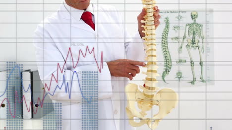 Animation-Von-Diagrammen,-Die-Daten-über-Einem-Kaukasischen-Männlichen-Arzt-Verarbeiten,-Der-über-Die-Wirbelsäule-Unterrichtet
