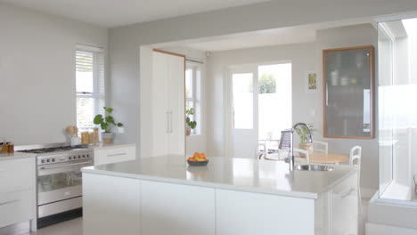 Big-white-empty-kitchen-with-plants,-big-wardrobe-and-oven,-slow-motion