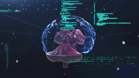 Animation-of-human-brain-and-data-processing-over-dark-background