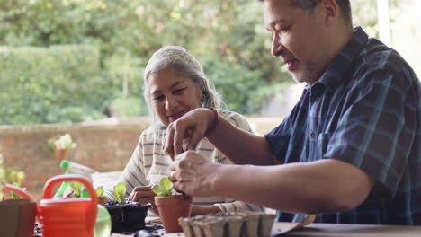 Feliz-Y-Diversa-Pareja-De-Ancianos-Sentada-A-La-Mesa-Y-Plantando-Plantas-En-Macetas-En-El-Porche