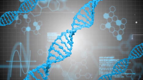 Animación-De-Hebras-De-ADN-Sobre-Procesamiento-De-Datos-Sobre-Fondo-Gris.