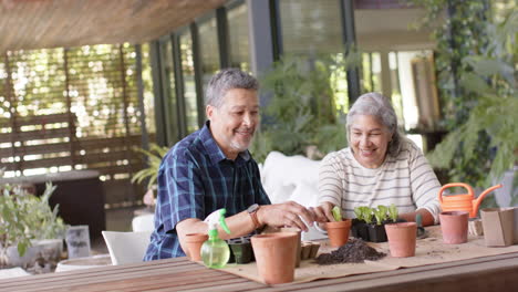 Happy-diverse-senior-couple-sitting-at-table-and-planting-plants-to-pots-on-porch