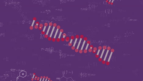 Animación-De-Cadenas-De-Adn-Y-Ecuaciones-Matemáticas-Sobre-Fondo-Morado