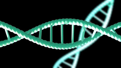 Animation-of-dna-strands-spinning-with-copy-space-over-black-background