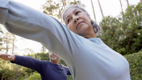 Pareja-Mayor-Diversa-Enfocada-Practicando-Yoga-En-El-Jardín