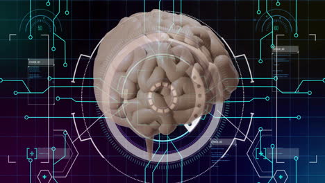 Animation-of-human-brain-and-data-processing-over-circuit-board