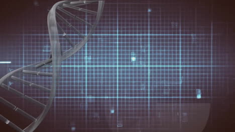 Animation-of-dna-strand-and-data-processing