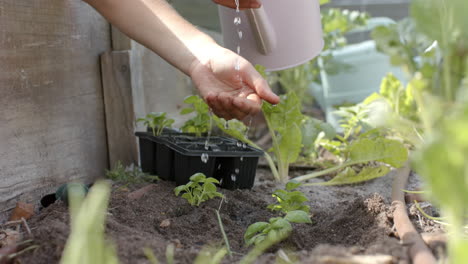 Hombre-Birracial-Trabajando-En-El-Jardín-Y-Regando-Plantas,-Cámara-Lenta