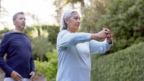 Pareja-Mayor-Diversa-Enfocada-Practicando-Yoga-En-El-Jardín