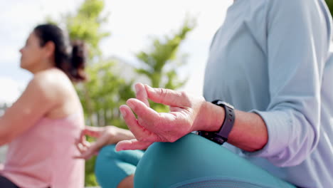 Dos-Mujeres-Mayores-Felices-Y-Diversas-Practicando-Yoga-En-Un-Jardín-Soleado,-Cámara-Lenta,-Espacio-Para-Copiar