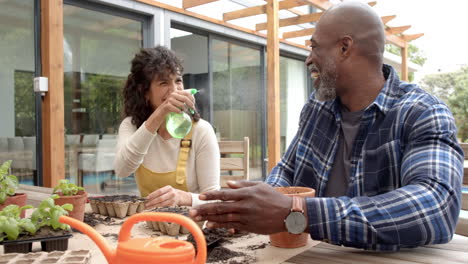 Feliz-Pareja-Madura-Y-Diversa-Plantando-Y-Regando-Plantas-En-La-Mesa-En-El-Jardín,-Cámara-Lenta