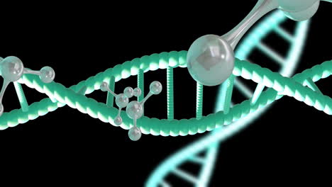 Animation-of-dna-strands-spinning-with-copy-space-over-black-background